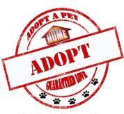 Adopt Escondido Humane Society